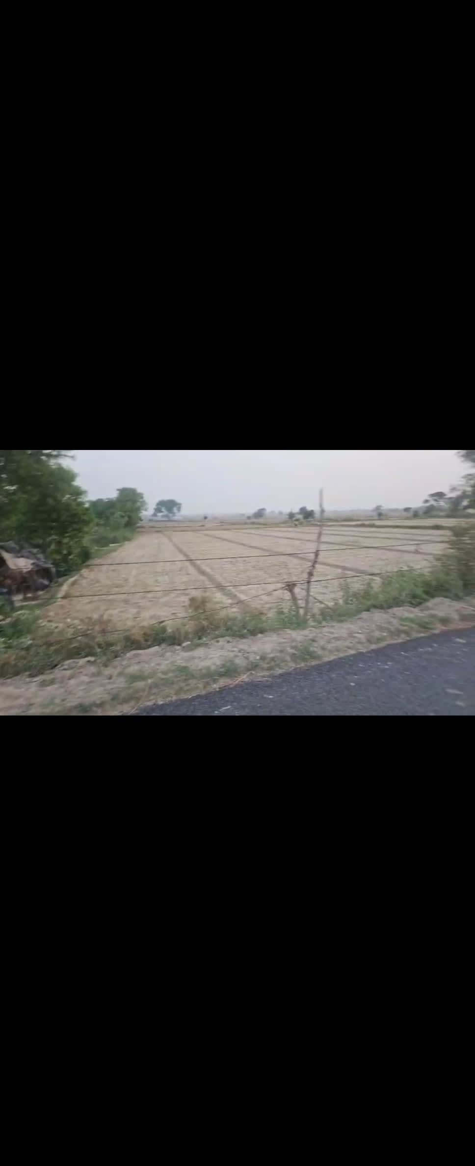 Agriculture Land for Sale near Noida International Airport. Price Rs. 50 lacs per beegha